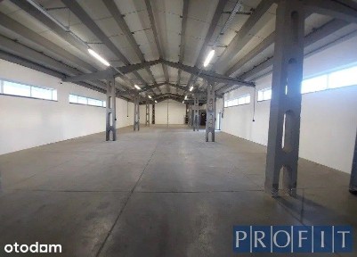 Magazyn 295m2 | poziom 0 | 1 brama