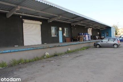 Ptasia, Pogoń, Sosnowiec, śląskie