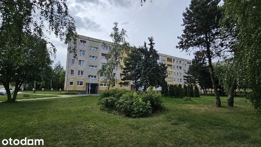 3-pokoje mieszkanie na os. Jagiellońskim