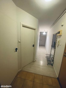 Przestronne 2 pokoje przy Uniwersytecie Medycznym | Bezpośrednio