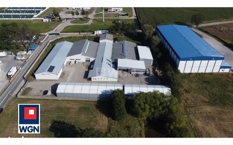 Hala/Magazyn, 4 440 m², Piotrków Trybunalski
