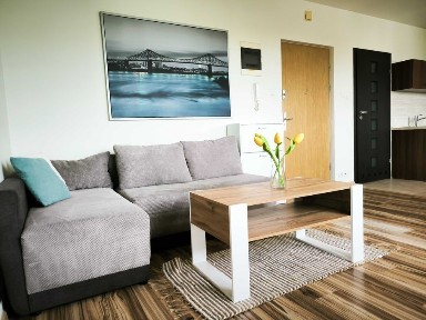 apartament do wynajęcia centrum