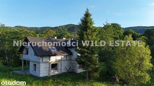 Wetlina, Cisna, leski, podkarpackie