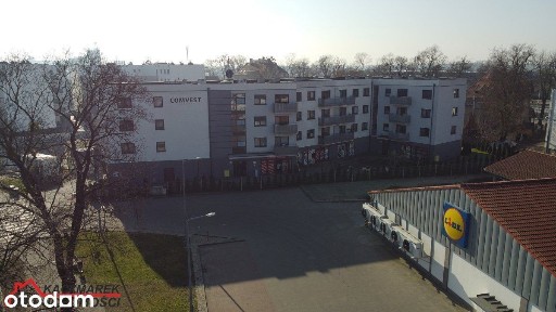 Szamotuły, szamotulski, wielkopolskie