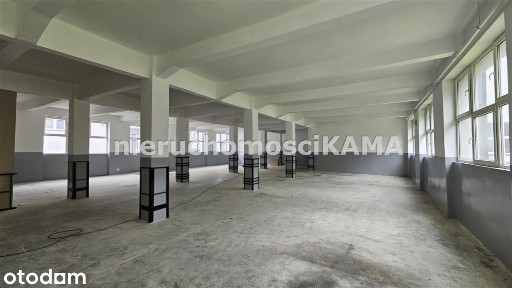 Hala/Magazyn o powierzchni 428,61m²
