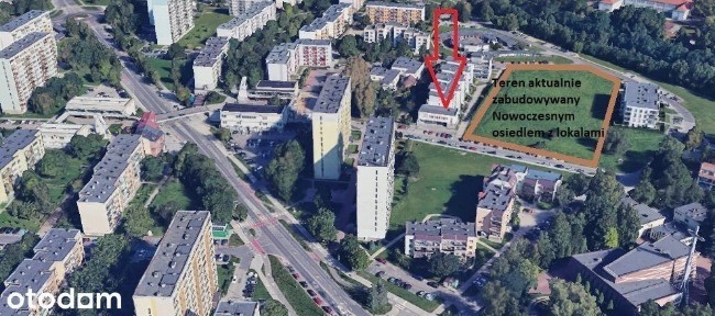 Lokal użytkowy, 224,60 m², Tychy