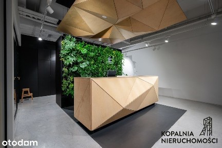 Lokal na Parterze Katowice Centrum/Koszutka 523mkw