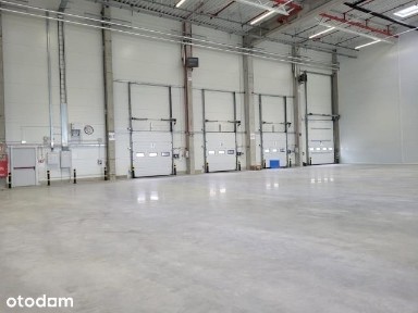 magazyn z możłiwością obsługi logistycznej