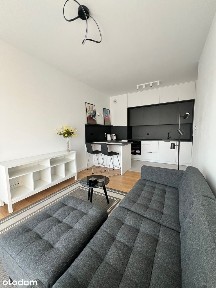 Nowoczesne mieszkanie z tarasem w centrum, pierwszy najemca