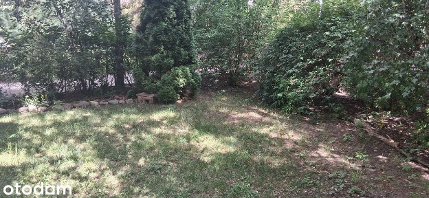 10 minut autem - ŁAZIENKI KRÓLEWSKIE!