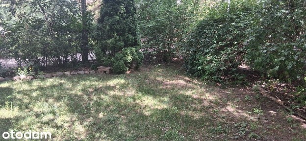 10 minut autem - ŁAZIENKI KRÓLEWSKIE!