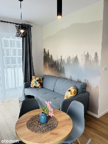 Gotowa inwestycja, 2 mieszkania dwupokojowe, Global