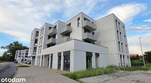 Lokal w Rokietnicy - bezpośrednio przy markecie.