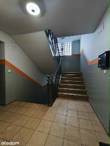 ul. Stanisława Małachowskiego, Centrum / Śródmieście, Sosnowiec, śląskie