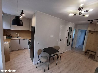 Mieszkanie do wynajmu w centrum po generalnym remoncie - wszystko nowe