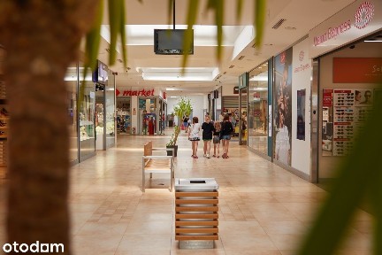 Lokal w Galerii Sandomierz czeka na twój biznes!
