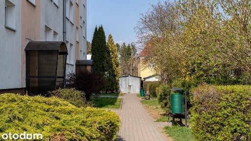 Bohaterów Westerplatte, Pasłęk, elbląski, warmińsko-mazurskie