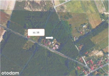 Syndyk sprzeda udział 1/2 w nieruchomości