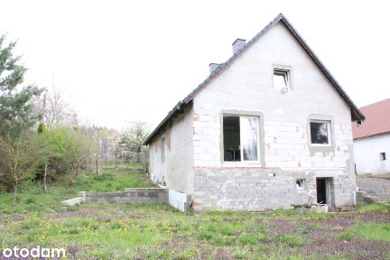 Kazimierz, Głogówek, prudnicki, opolskie