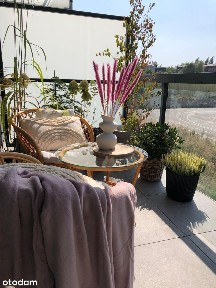 Mieszkanie 3-pokojowe z balkonem bezpośrednio od dewelopera