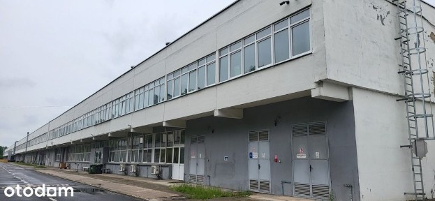 Atrakcyjny budynek przemysłowy we Wrocławiu