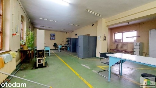 Świdnica, świdnicki, dolnośląskie