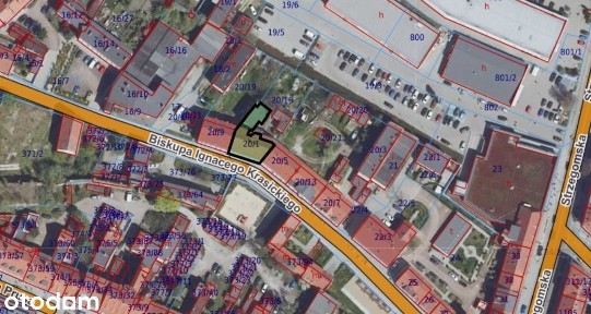 Lokal użytkowy w Centrum Świebodzic
