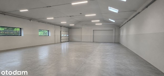 NOWA, OGRZEWANA HALA MAGAZYNOWA 260M |PRUSZCZ GDAŃSKI|BLISKO OBWODNICY