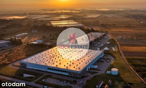 Magazyn 22 tyś. m2 Błonie - 0% prowizji