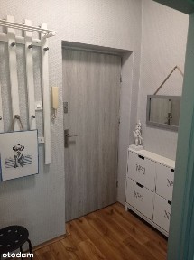 Wynajme mieszkanie, zwierzeta mile widziane!