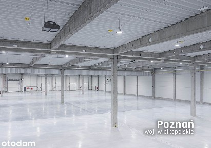 Hala magazynowa 5.850 m² / obsługa logistyczna