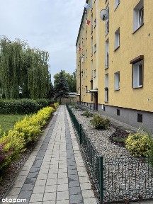3 pokoje w dobrym stanie, w pełni niezależny układ
