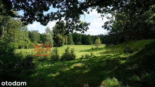 Niespotykane siedlisko nad rzeką Marychą