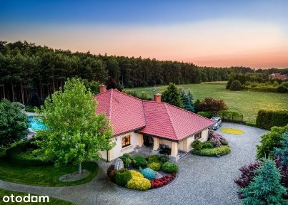 Czarne Błoto, Zławieś Wielka, toruński, kujawsko-pomorskie
