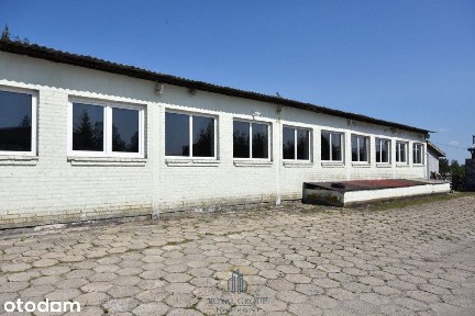 Hala 300 m2 do wynajęcia