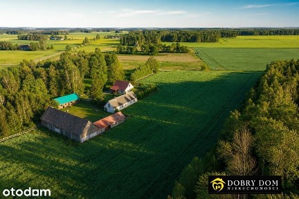 Siedlisko wśród natury przy lesie