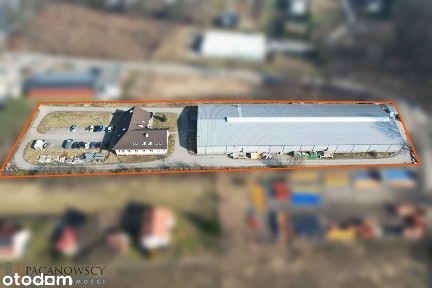 Hala na sprzedaż, Zielonki
