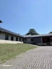 Zesławice, Wzgórza Krzesławickie, Kraków, małopolskie