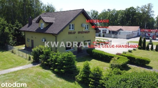 Syców, oleśnicki, dolnośląskie