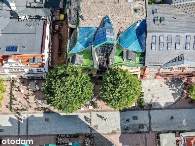 Lokal medyczny w Krzywym Domku, Sopot, 210,82 m²