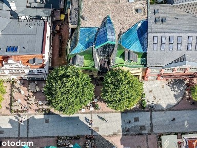 Lokal medyczny w Krzywym Domku, Sopot, 210,82 m²