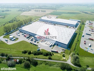 Magazyn 2299 m2 Gdańsk - 0% prowizji