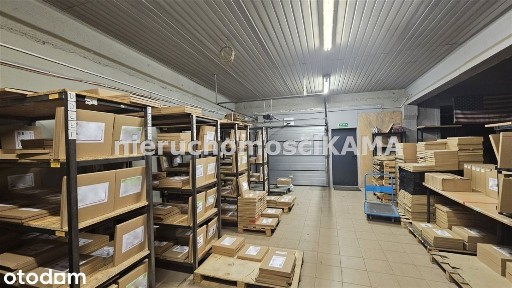 Hala/Magazyn o powierzchni 258,6m²