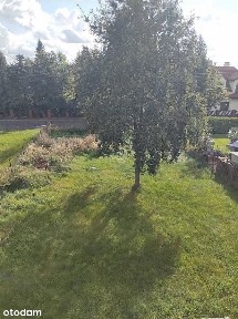 Konstantynów Łódzki, pabianicki, łódzkie