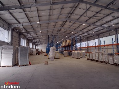 Wynajem hali produkcyjno-magazynowej 1000 m2