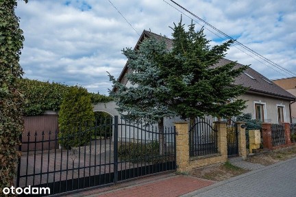 Białe Błota, bydgoski, kujawsko-pomorskie