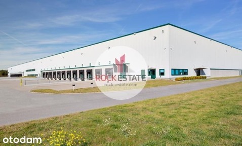 Magazyn obok lotniska Gdańsk 5940 m2 - 0% prow.