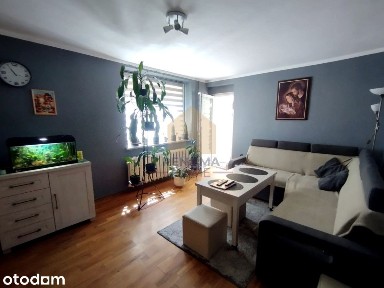 Kopernik -3 pok- 1 p- 74,15 m- balkon- ogródek