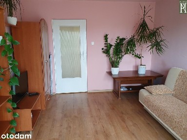 Przytulne 2 pokojowe os Piastów od zaraz!