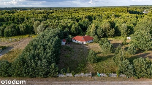 Dom z wyspą pod Toruniem - Obory